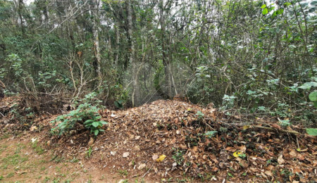 Terreno à venda em Serra da Cantareira, Mairiporã, SP