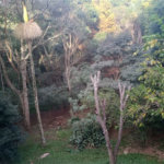 Chácara à venda com 7 quartos, sendo 3 suítes, em Saboó, São Roque, SP