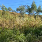 Terreno à venda em Caete (mailasqui), São Roque, SP