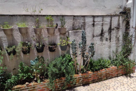 Casa à venda com 2 quartos em Água Fria, São Paulo, SP
