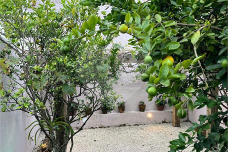 Sobrado à venda com 3 quartos, sendo 1 suíte,  em Vila Suissa, Mogi das Cruzes, SP