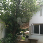 Casa à venda com 2 quartos, sendo 1 suíte,  em Jardim Peri Peri, São Paulo, SP