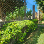 Terreno à venda em Jardim Paulista, Atibaia, SP