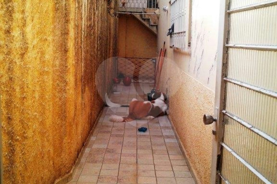 Sobrado à venda com 3 quartos, sendo 1 suíte, em Vila Paiva, São Paulo, SP