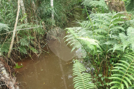 Terreno à venda em Vila Moraes, Mogi das Cruzes, SP