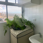 Apartamento à venda com 2 quartos em Mandaqui, São Paulo, SP