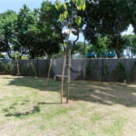 Apartamento para alugar com 2 quartos em Santana, São Paulo, SP