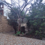 Casa à venda com 3 quartos, sendo 1 suíte, em Vila Guilherme, São Paulo, SP