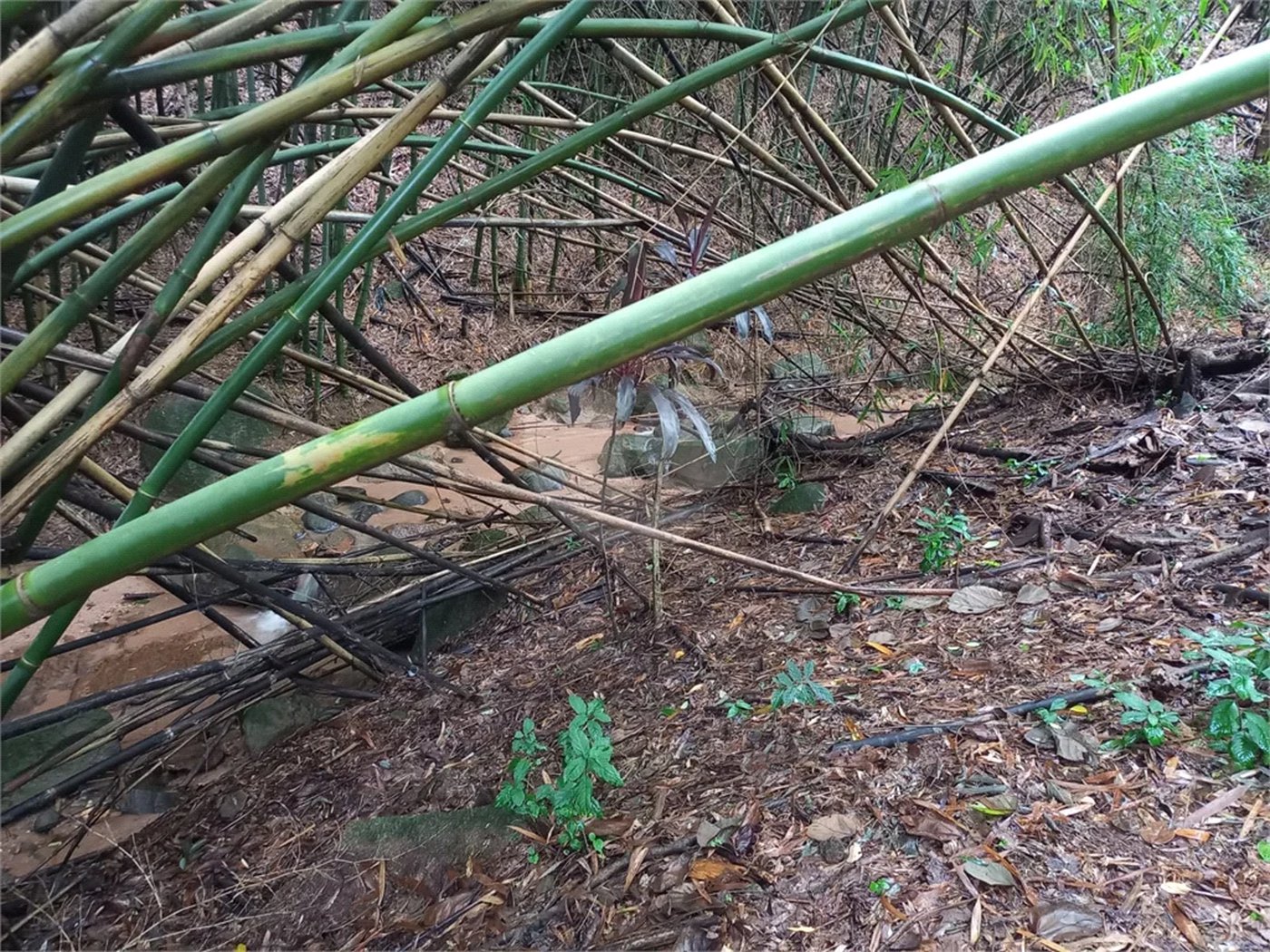 Terreno à venda em Parque dos Cafezais III, Itupeva, SP