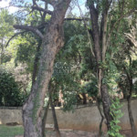Apartamento à venda com 2 quartos em Vila Fiori, Sorocaba, SP