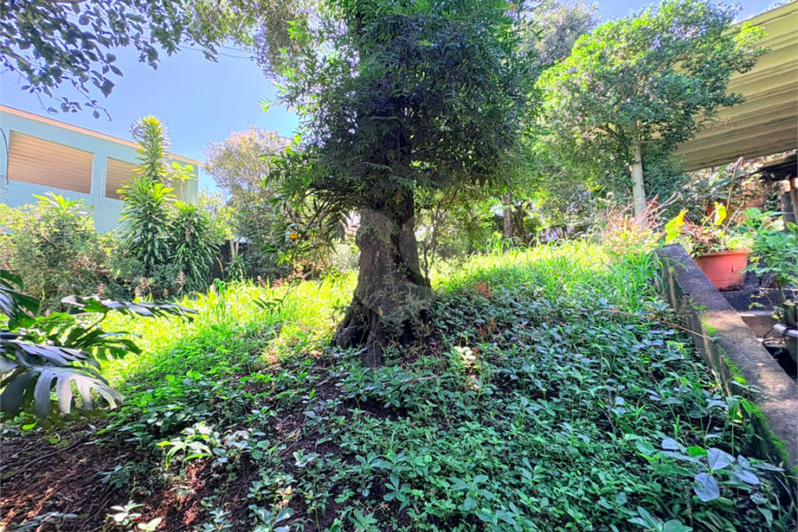 Casa Térrea à venda com 3 quartos, sendo 1 suíte, em Jardim Floresta, São Paulo, SP