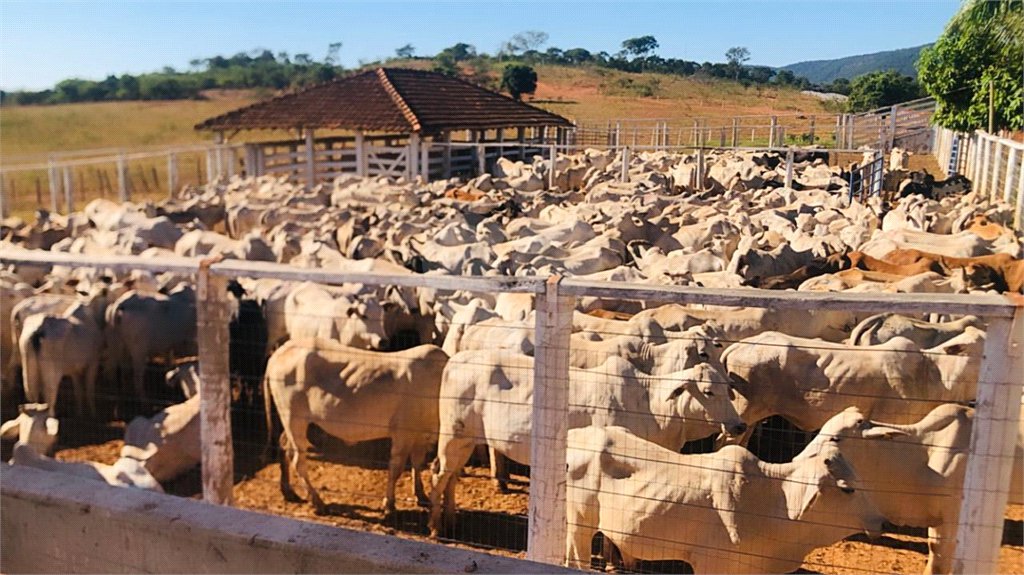 Fazenda à venda com 6 quartos, sendo 1 suíte,  no Centro, Capitão Enéas, MG