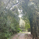 Sítio à venda com 5 quartos, sendo 1 suíte,  em Área Rural de Tapiraí, Tapiraí, SP