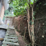 Casa à venda com 4 suítes em Vila Morumbi, São Paulo, SP