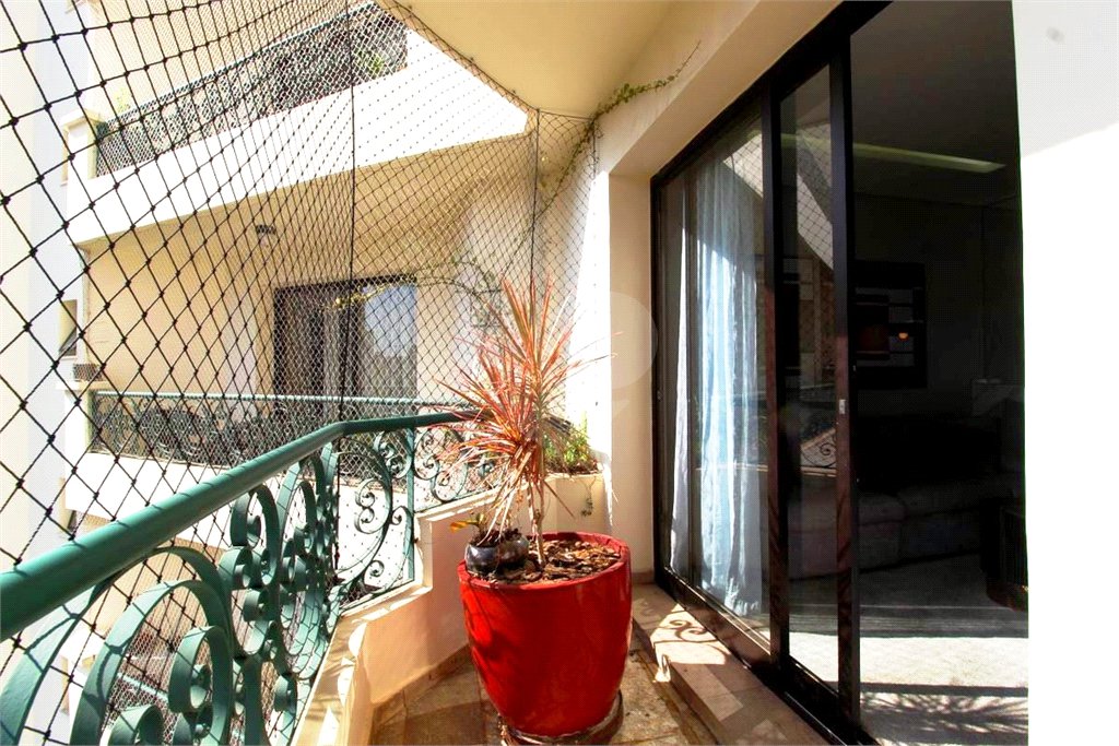 Apartamento à venda com 3 quartos, sendo 1 suíte, em Indianópolis, São Paulo, SP