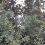 Terreno à venda em Luiz Fagundes, Mairiporã, SP