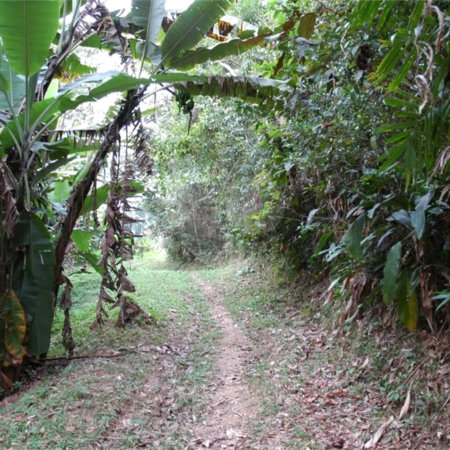 Terreno à venda em Rio Grande, São Bernardo do Campo, SP