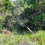 Terreno à venda em Bairro do Cambará, São Roque, SP