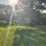 Terreno à venda no condomínio Vivenda do Lago, Sorocaba - SP