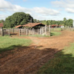Fazenda à venda com 2 quartos em Canabrava, João Pinheiro, MG