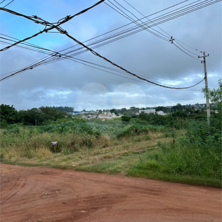Terreno à venda em Bosque de Ponta Porã, Ponta Porã, MS