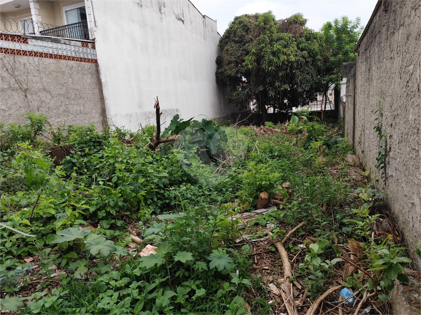 Terreno à venda com 1 suíte em Vila Constança, São Paulo, SP