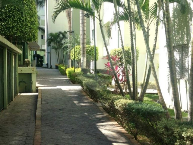 Apartamento à venda com 2 quartos em Vila Nova Cachoeirinha, São Paulo, SP