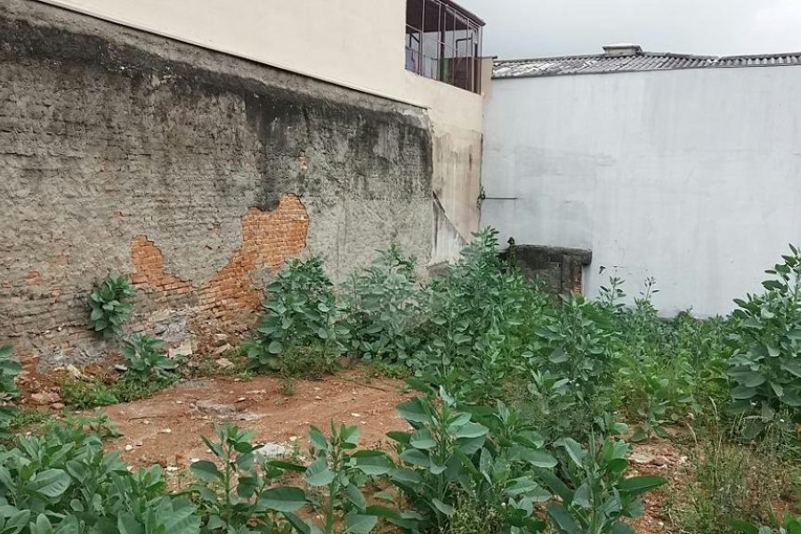 Terreno à venda em Limão, São Paulo, SP