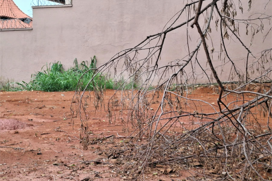 Terreno à venda em Vila Albertina, São Paulo, SP