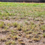 Terreno à venda no condomínio Bella Vittà Araraquara, Araraquara - SP