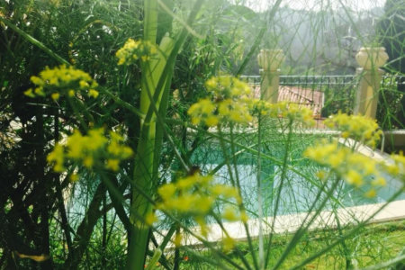 Casa à venda com 5 quartos, sendo 4 suítes, no condomínio Jardim Vitória Régia, São Paulo - SP