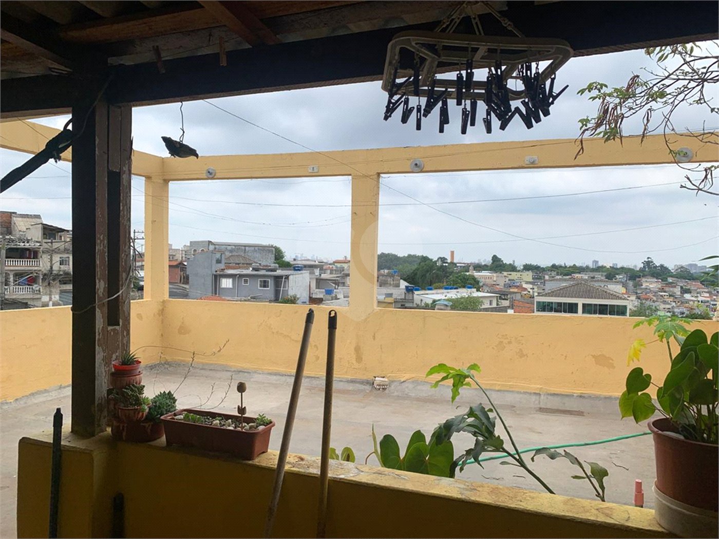 Casa à venda com 1 suíte em Vila Nova Cachoeirinha, São Paulo, SP
