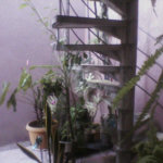 Sobrado à venda com 3 quartos, sendo 1 suíte, em Parque Mandaqui, São Paulo, SP