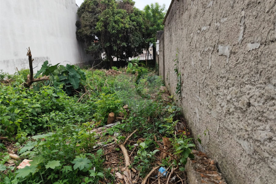 Terreno à venda com 1 suíte em Vila Constança, São Paulo, SP