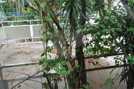 Sobrado à venda com 3 quartos, sendo 1 suíte, em Jabaquara, São Paulo, SP