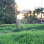 Fazenda à venda com 2 quartos em Canabrava, João Pinheiro, MG