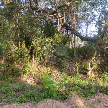 Terreno à venda em Granja Viana, Cotia, SP
