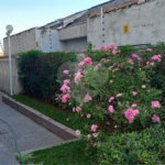 Apartamento à venda com 2 quartos em Vila Mazzei, São Paulo, SP