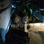 Casa à venda com 2 suítes em Tucuns, Armação dos Búzios, RJ