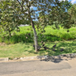Terreno em condomínio à venda em Jardim Novo Mundo, Sorocaba, SP