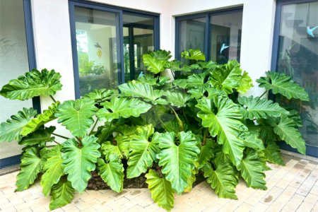 Casa à venda com 5 suítes no condomínio Terras de São José, Itu - SP