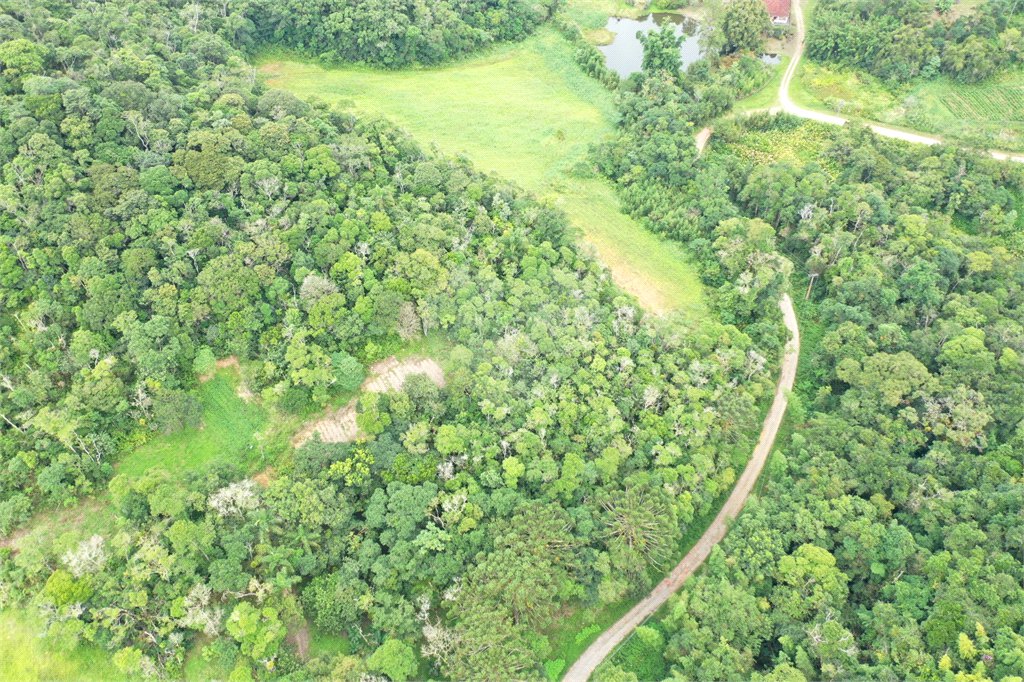 Tapiraí Sp - Sítio Santa Clara - Area de 12,1 ha - composto por casa principal, galpões poço artesiano, ótima área para plantios. Fica localizado a aproximadam. 1 quilômetro da prefeitura. Area preservação permanente- 4,6 ha - Area aproveitável - 4,6 ha - area utilizada rural - 2,5 ha -R$ 750.000,00