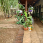 Chácara Espaçosa no Santa Rita com Área Gourmet, Sauna e Árvores Frutíferas