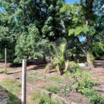 Lote à venda no Balneário Santo Antônio – Broa