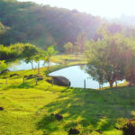 Excelente imóvel rural na cidade de Piedade/SP