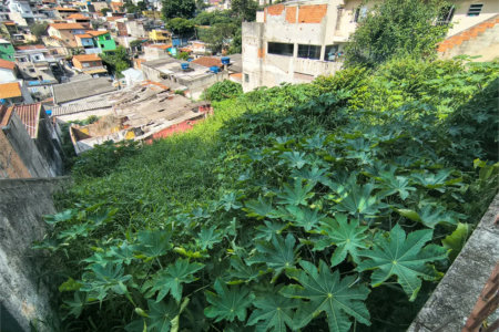 Terreno à venda em Vila Polopoli, São Paulo, SP