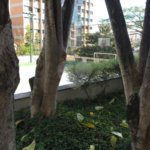Espetacular apartamento ALTO PADRÃO no JD Saúde