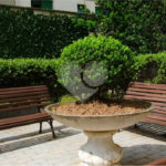 Apto na Vila Mariana c/270m2 - 4 Quartos/3 Suítes/5 Vagas de garagem - metrô Santa Cruz