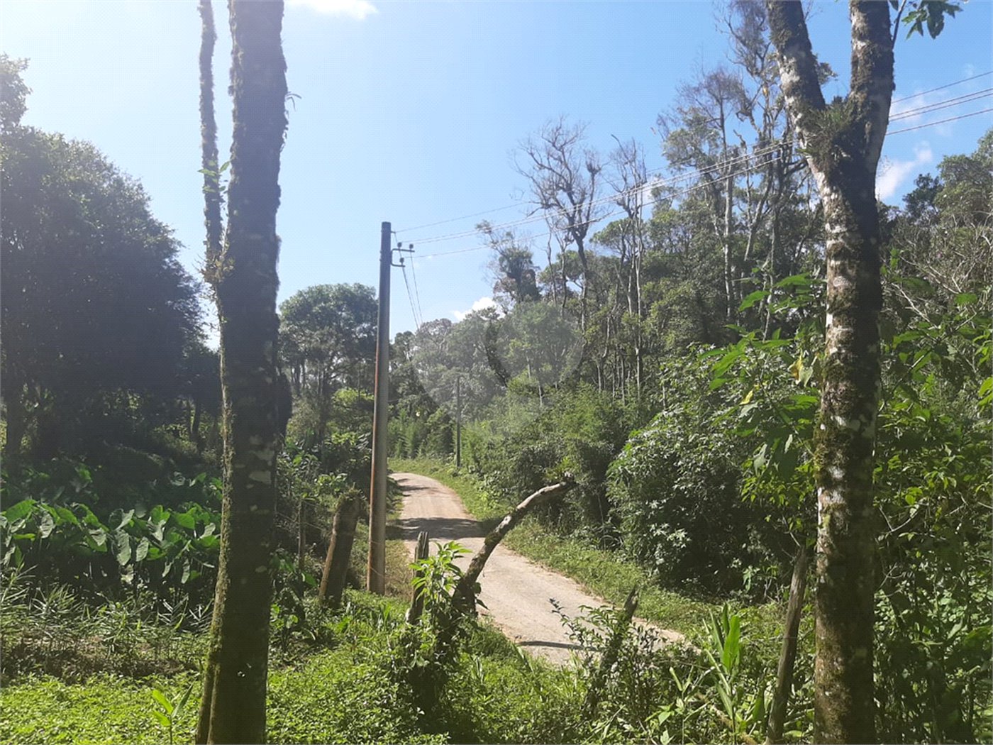 Tapiraí Sp - Sítio Santa Clara - Area de 12,1 ha - composto por casa principal, galpões poço artesiano, ótima área para plantios. Fica localizado a aproximadam. 1 quilômetro da prefeitura. Area preservação permanente- 4,6 ha - Area aproveitável - 4,6 ha - area utilizada rural - 2,5 ha -R$ 750.000,00