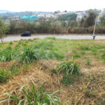 Terreno à venda em Residencial Capivari, Louveira, SP